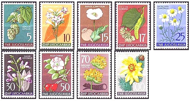 Iugoslavia 1955 - flori, serie neuzata