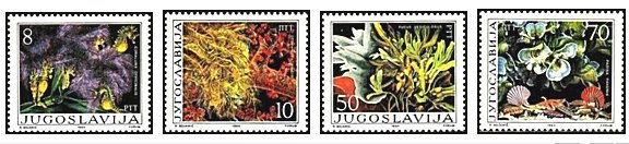 Iugoslavia 1985 - Flora-fauna marina, serie neuzata