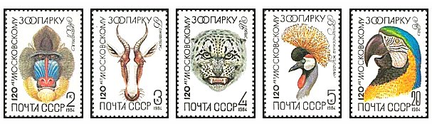 URSS 1984 - Zoo Moscova, animale, serie neuzata