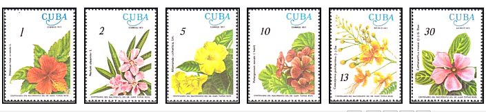 Cuba 1977 - Flori, serie neuzata