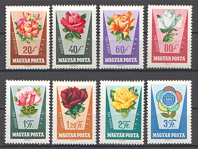 Ungaria 1962 - Trandafiri, flori, serie neuzata