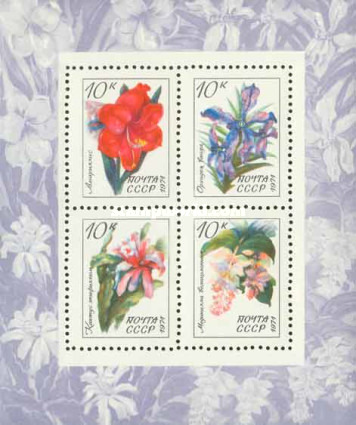 URSS 1971 - Flori, plante subtropicale, colita neuzata