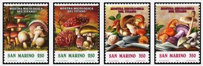 San Marino 1992 - Ciuperci, serie neuzata