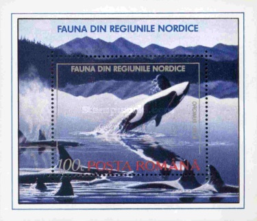 1992 - Fauna nordica, colita neuzata