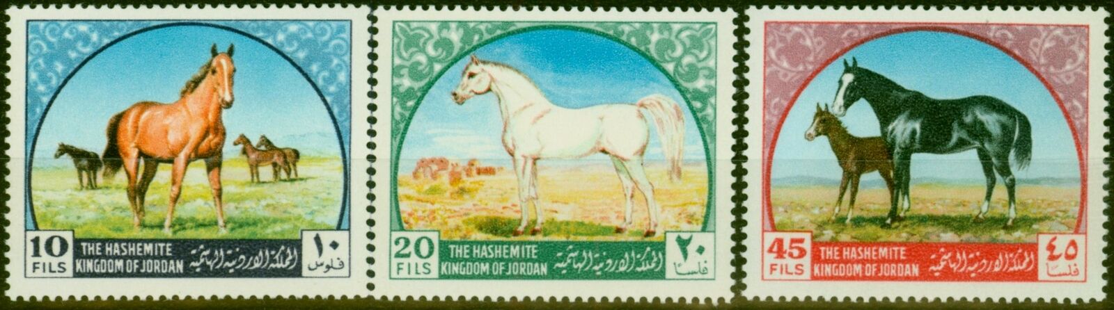 Jordan 1969 - Cai arabi, serie neuzata