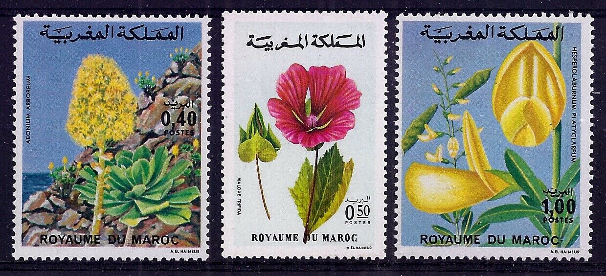 Maroc 1977 - Flori, serie neuzata