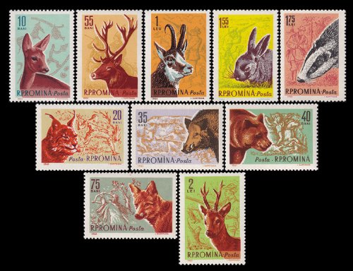 1961 - Vanatoarea, fauna, animale, serie neuzata