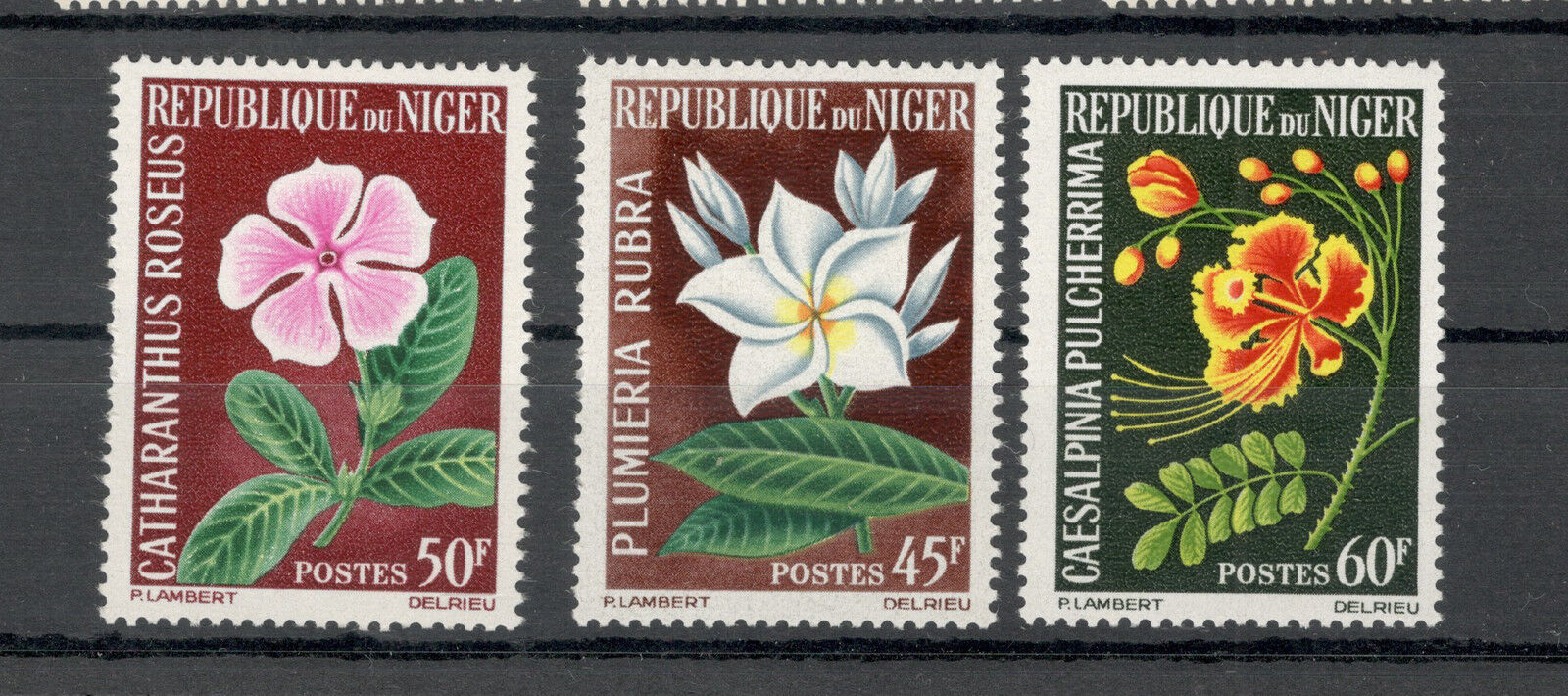 Niger 1965 - Flori, serie neuzata