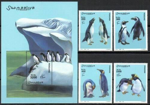 Somalia 2001 - Pinguini, serie si colita neuzata