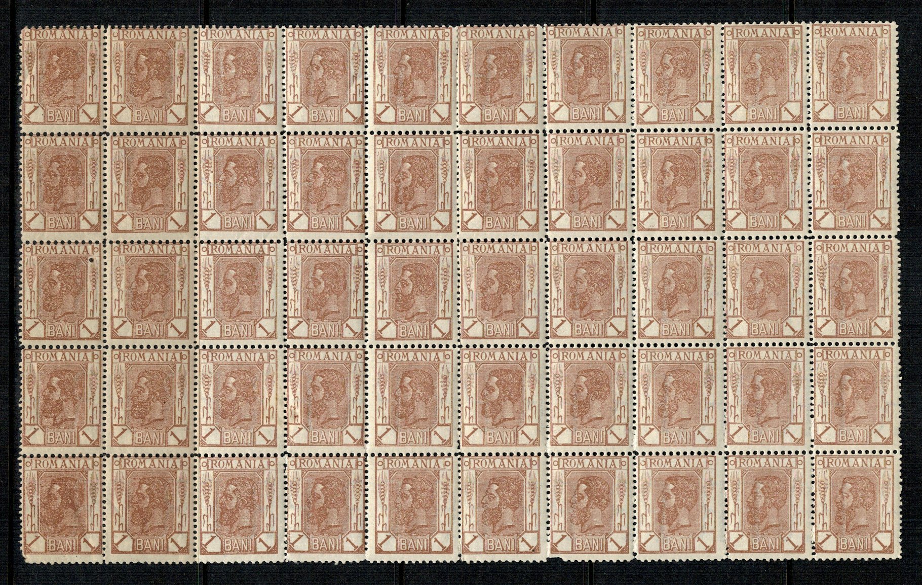 1896 - Spic, 1ban, bloc de 50 marci neuzate