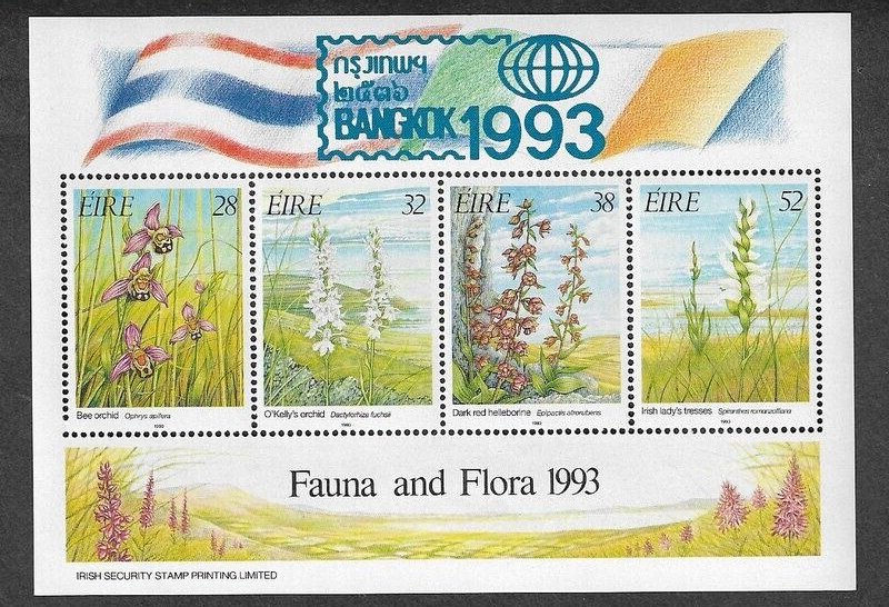 Irlanda 1993 - Flori, flora, Expo Bangkok, bloc neuzat