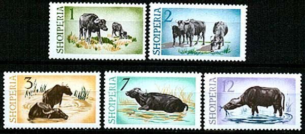 Albania 1965 - Fauna, water buffalo, serie neuzata