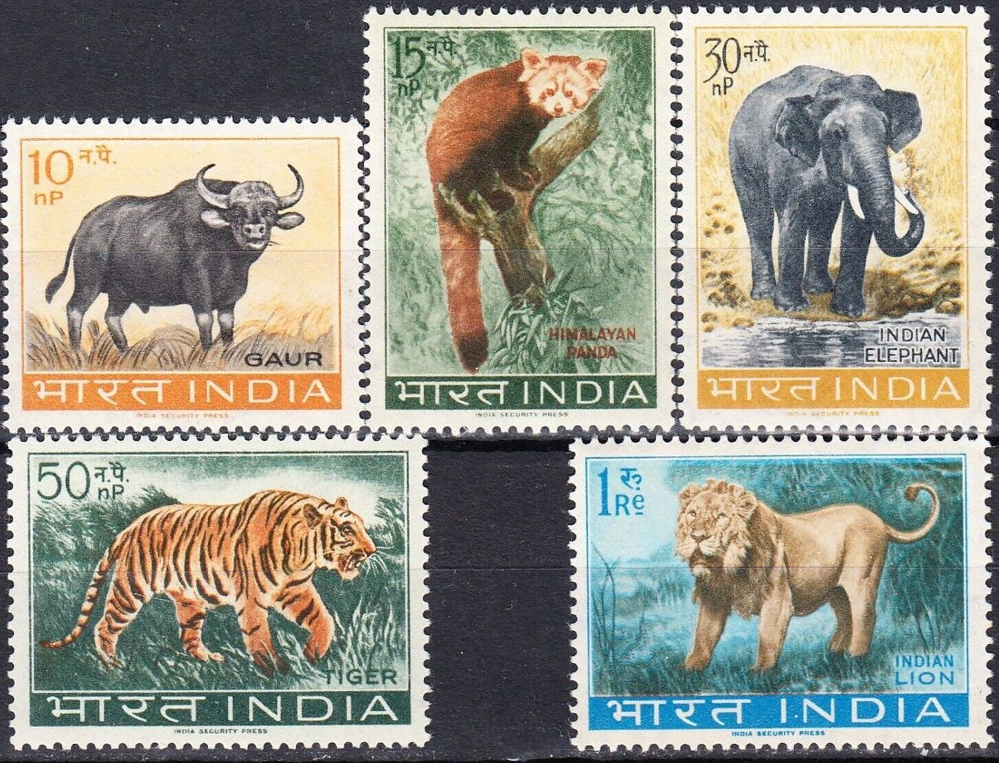 India 1963 - Fauna, animale, serie neuzata
