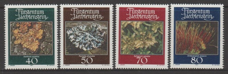 Liechtenstein 1981 - Flora, muschi si licheni, serie neuzata