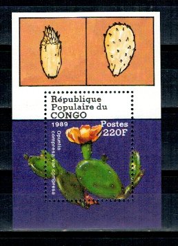 Congo 1989 - Flora, cactusi, colita neuzata