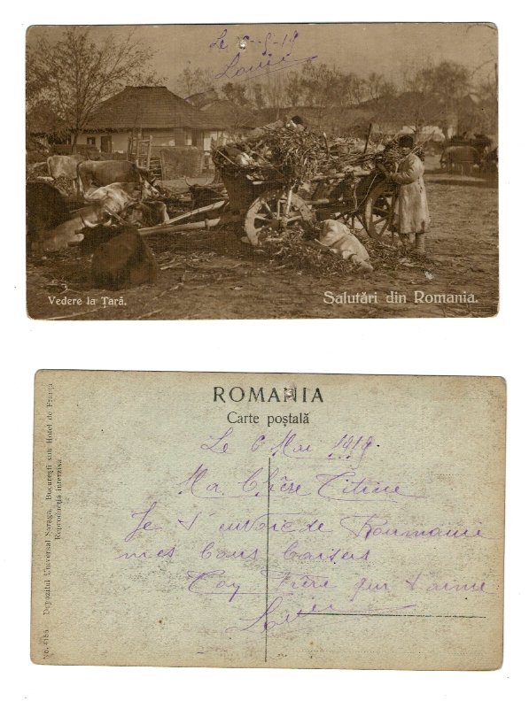 Salutari din Romania, vedere la tara, ilustrata 1919