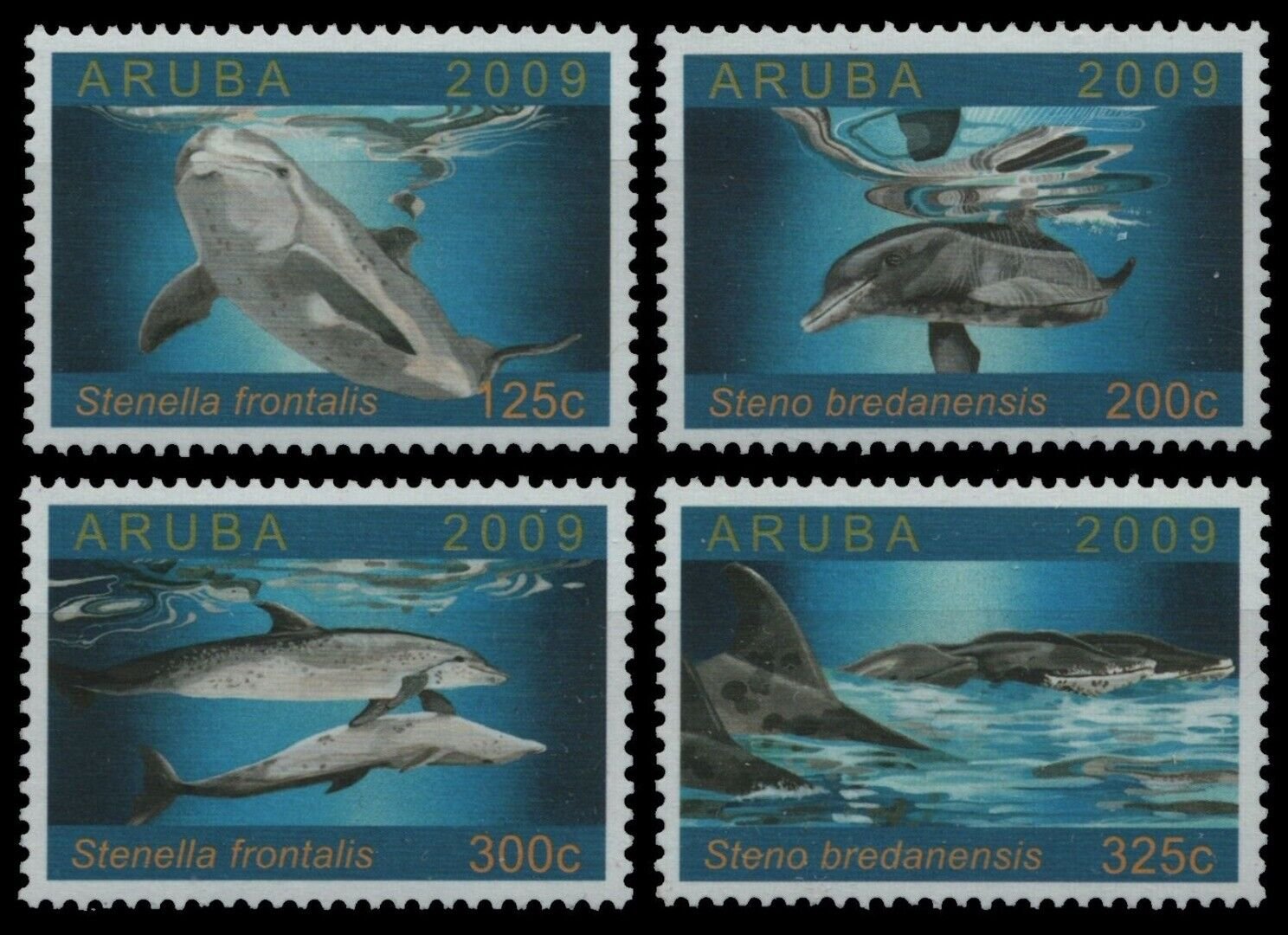 Aruba 2009 - Fauna marina, delfini, serie neuzata