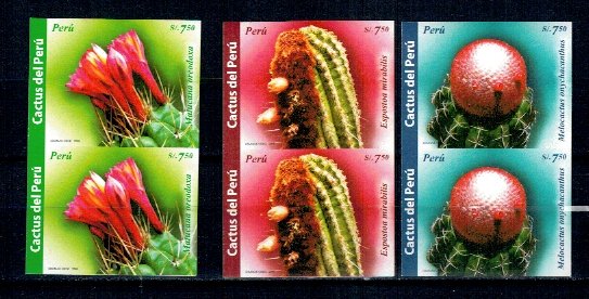 Peru 2008 - Flori de cactus, serie perechi ndt neuzate