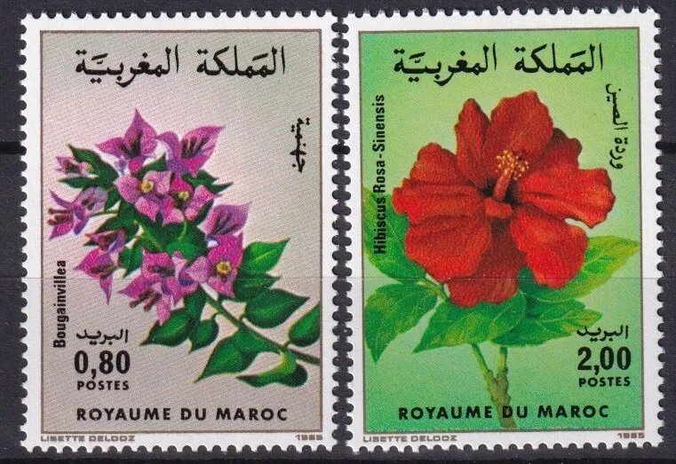 Maroc 1985 - Flori, serie neuzata
