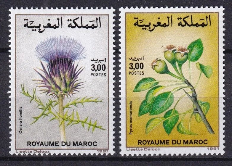 Maroc 1991 - Flori, serie neuzata