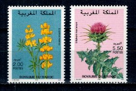 Maroc 1997 - Flori, serie neuzata