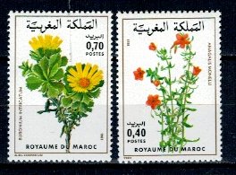 Maroc 1981 - Flori, serie neuzata