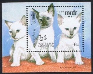 Cambodge 1988 - Pisici, colita neuzata