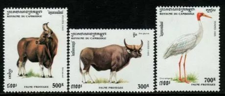 Cambodge 1995 - Fauna protejata, animale, serie neuzata