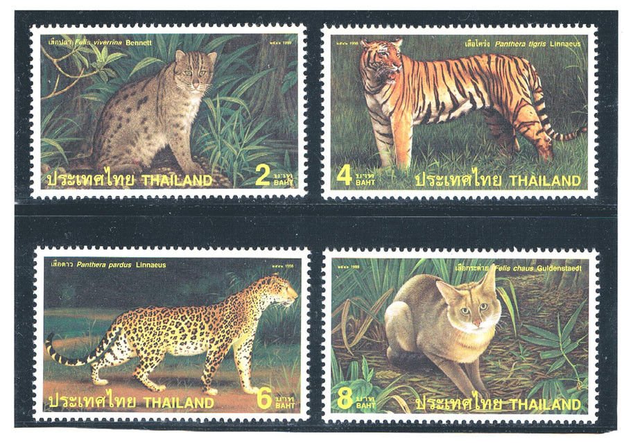 Thailanda 1998 - Fauna, feline, serie neuzata