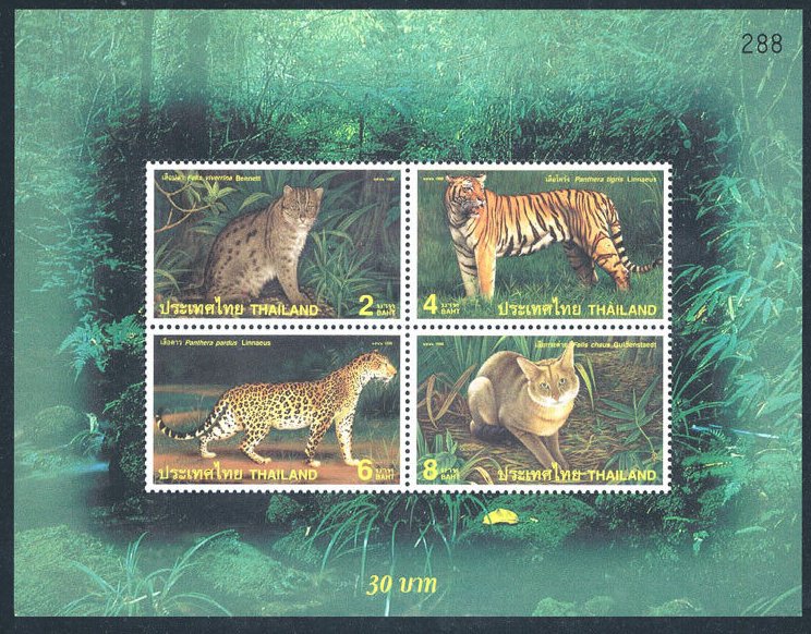 Thailanda 1998 - Fauna, feline, bloc neuzat