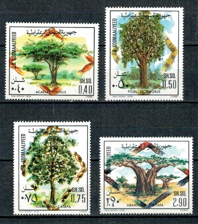 Somalia 1978 - Copaci, flora, serie neuzata