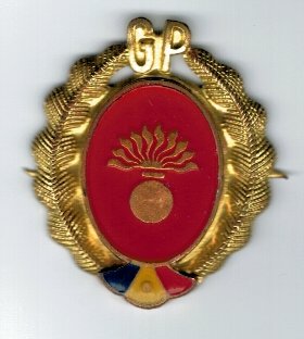 Insigna Garzile patriotice, infanterie