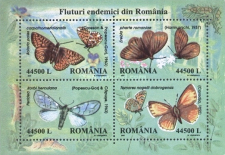 2002 - Fluturi endemici din Romania, colita neuzata