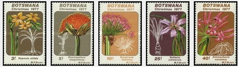 Botswana 1977 - Craciun, flori, serie neuzata