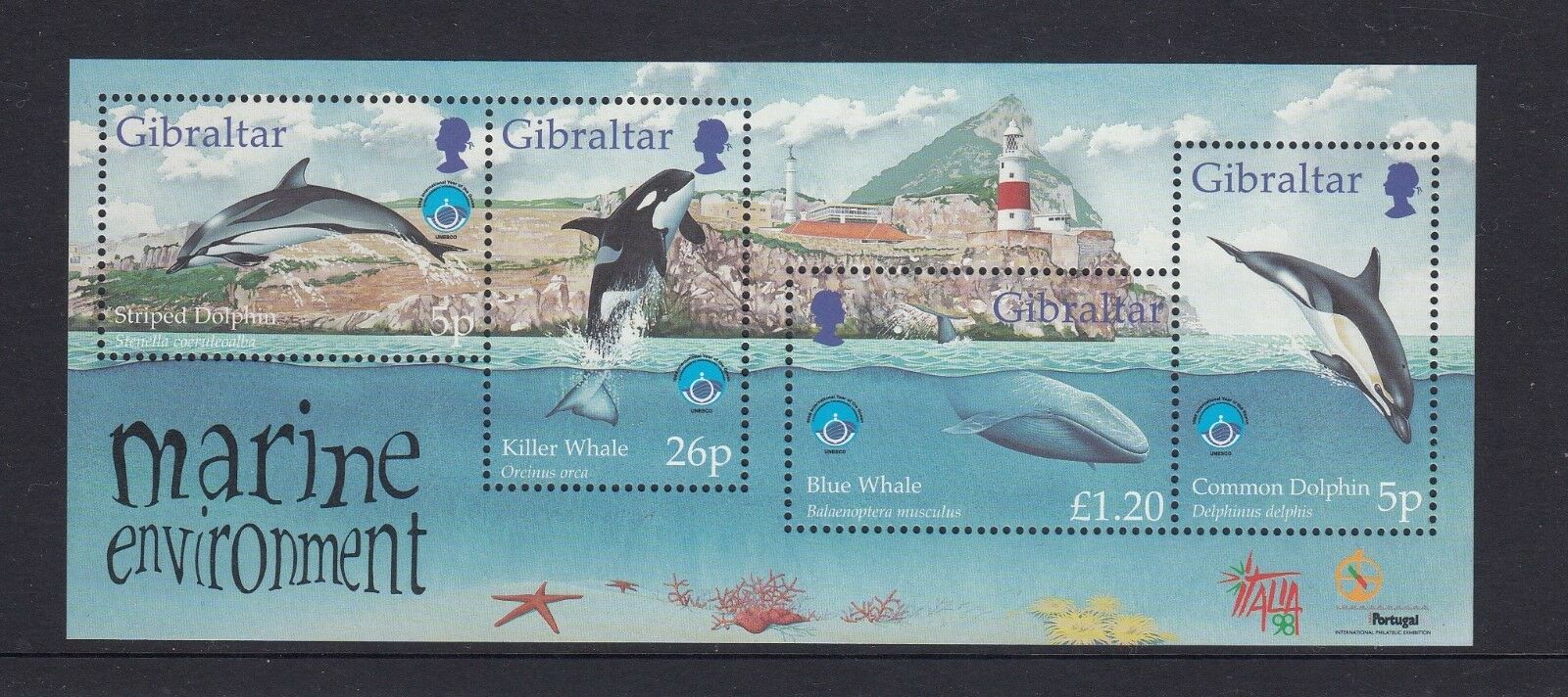Gibraltar 1998 - Fauna marina, bloc neuzat