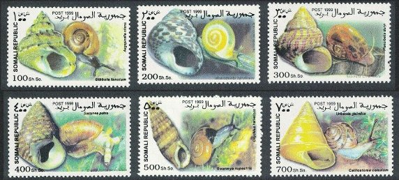 SOMALIA 1999 - Melci, cochilii, serie neuzata