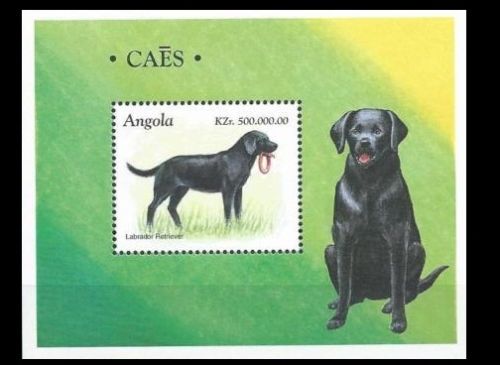 Angola 1998 - Caini, colita neuzata