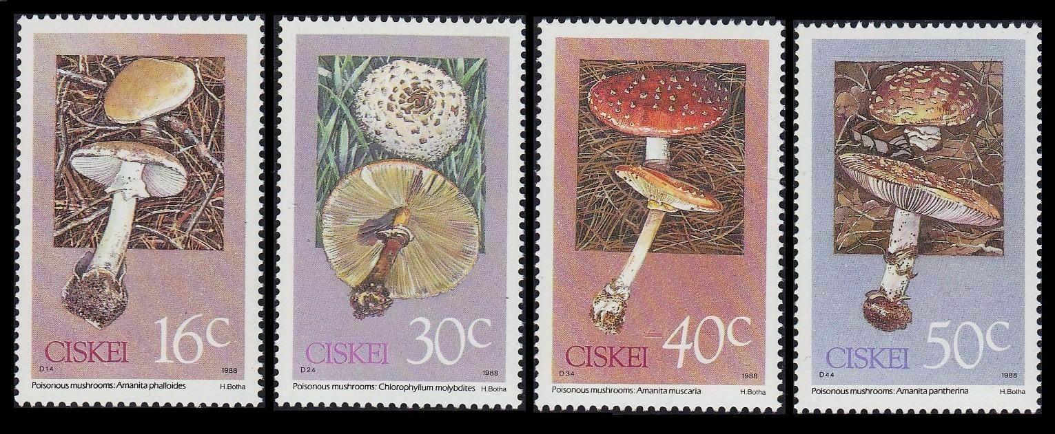 Ciskei 1988 - Ciuperci, serie neuzata