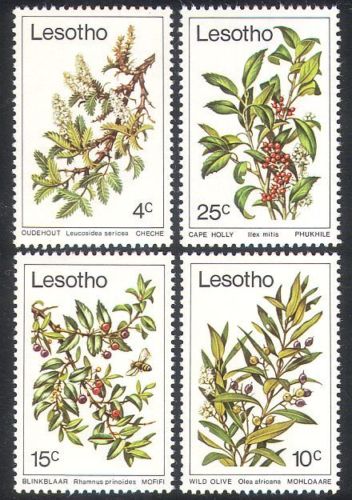 Lesotho 1979 - Plante, flora, serie neuzata