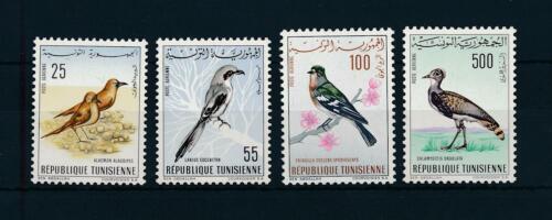 Tunisia 1965 - Pasari, serie neuzata
