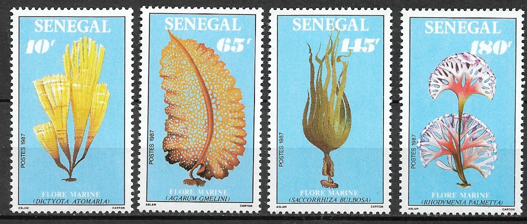 Senegal 1988 - Flora marina, serie neuzata