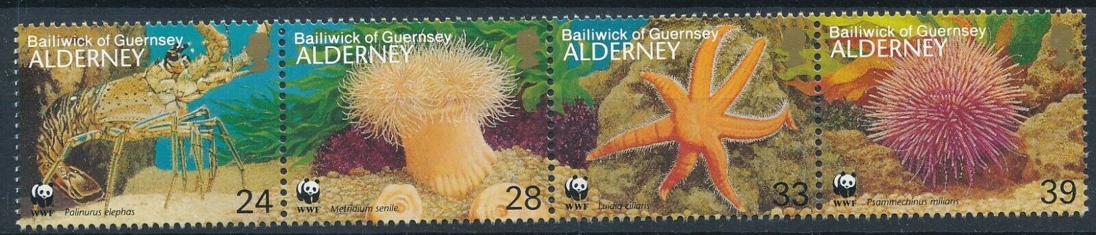 Alderney 1993 - Fauna marina, WWF, serie neuzata