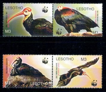 Lesotho 2004 - Pasari, WWF, serie neuzata