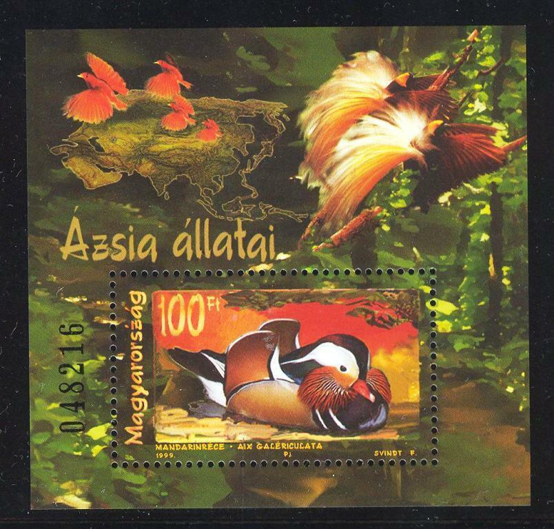 Ungaria 1999 - Fauna Asia, pasari, colita neuzata