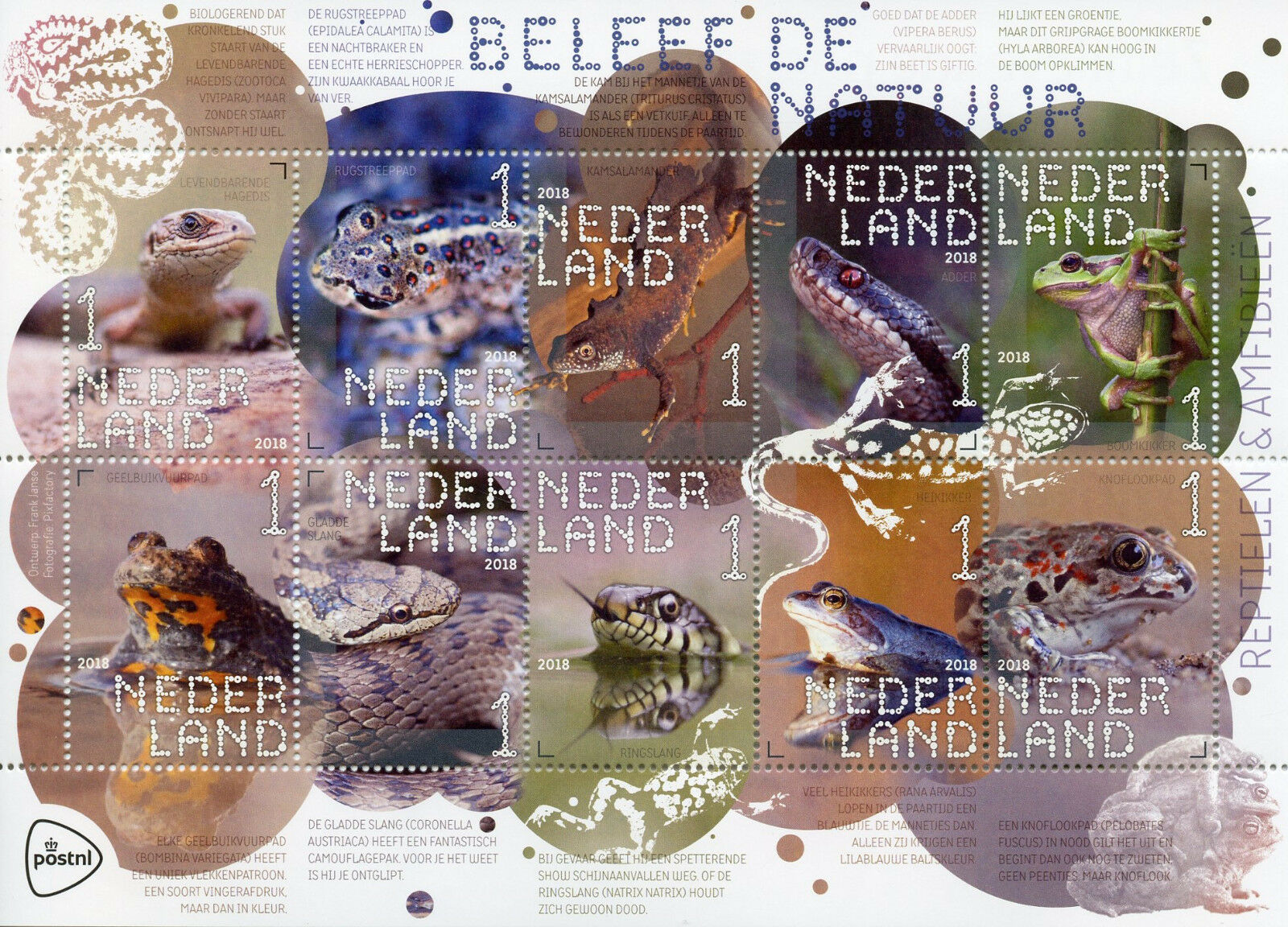Olanda 2018 - Fauna, serpi, broaste, bloc timbre autocolant