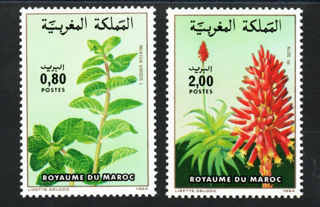 Maroc 1984 - Flori, serie neuzata