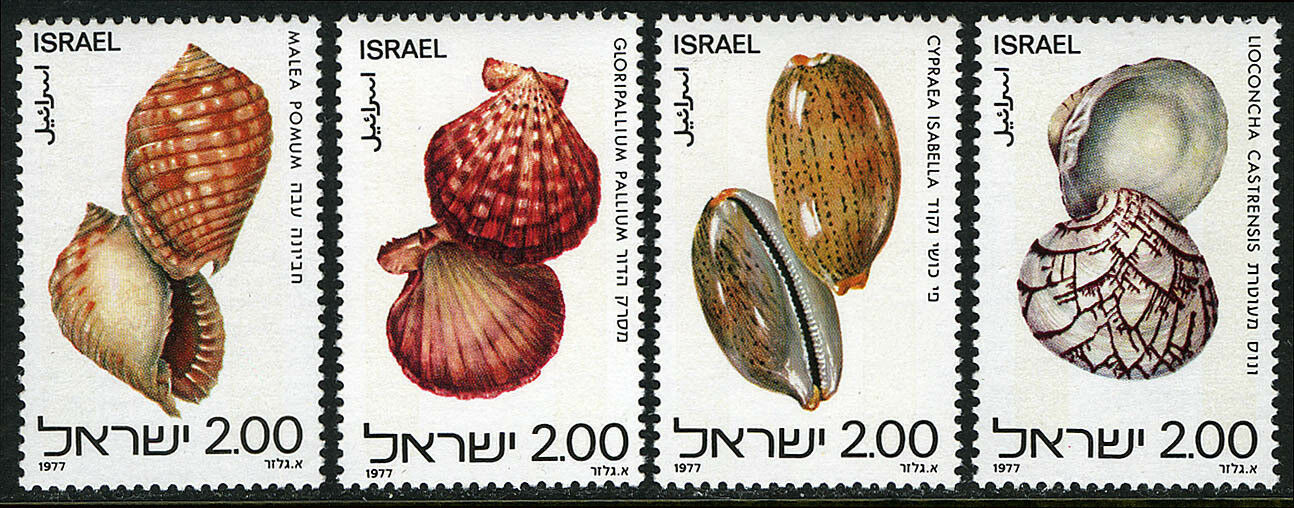 Israel 1977 - Cochilii, serie neuzata