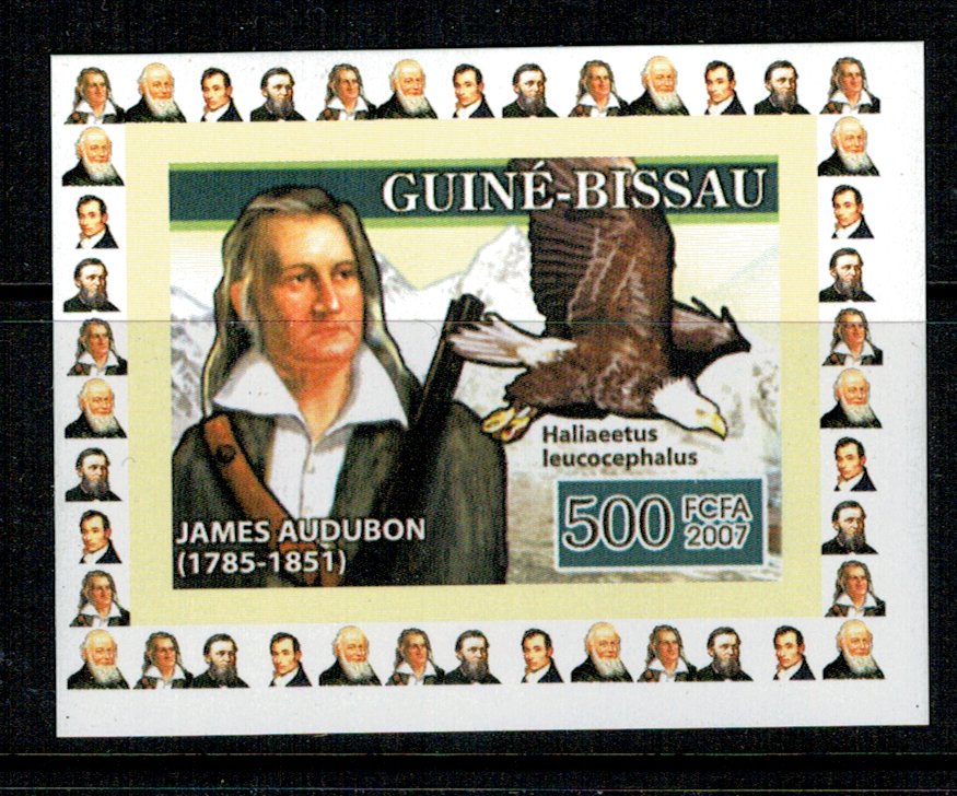 Guinea Bissau 2007 - Audubon, pasari, Mi3471 ndt DELUXE neuzat