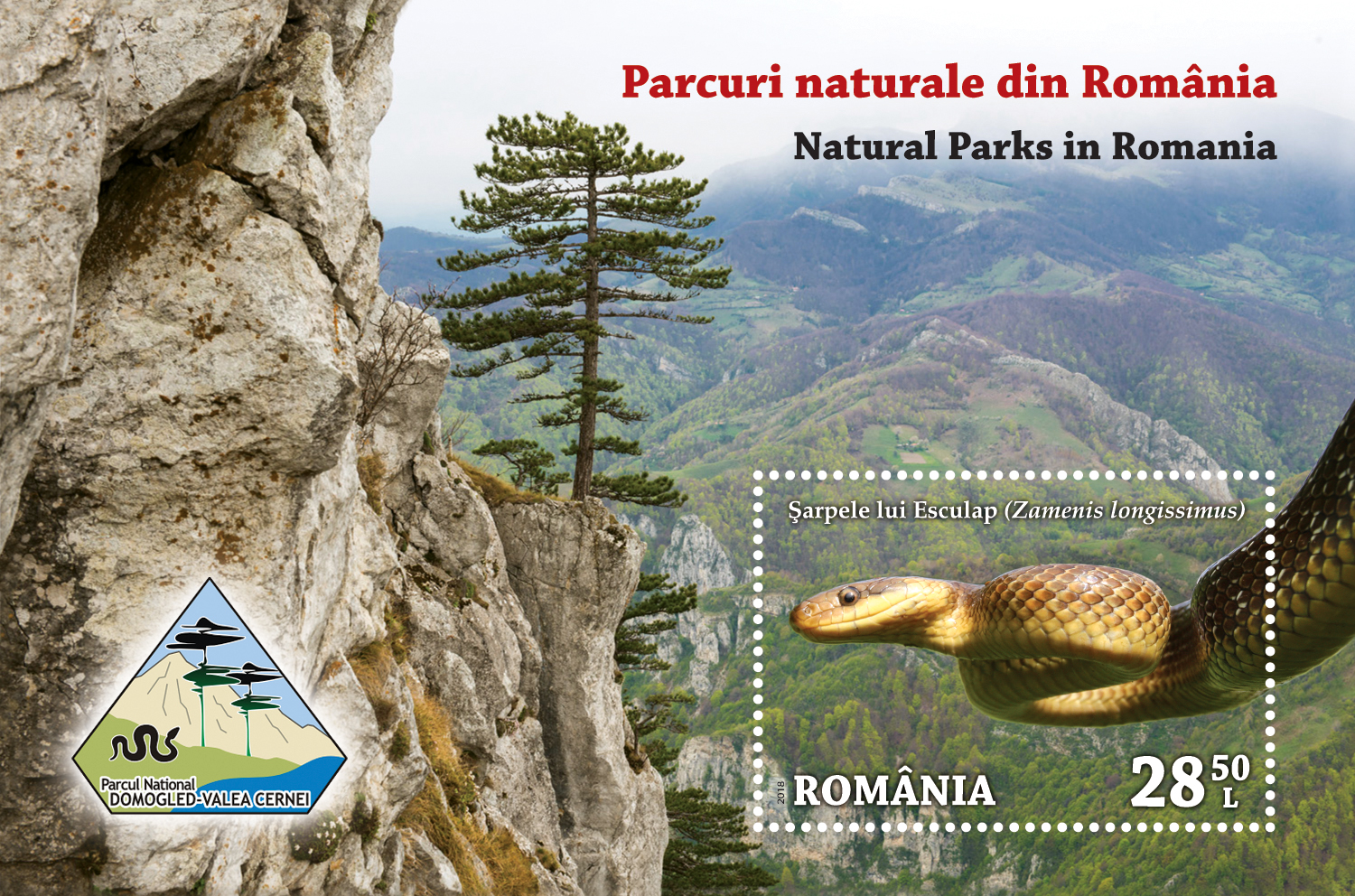 2018 - Parcuri nationale din Romania, sarpe, colita neuzata