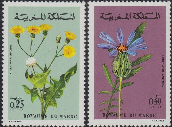 Maroc 1972 - Flori, serie neuzata